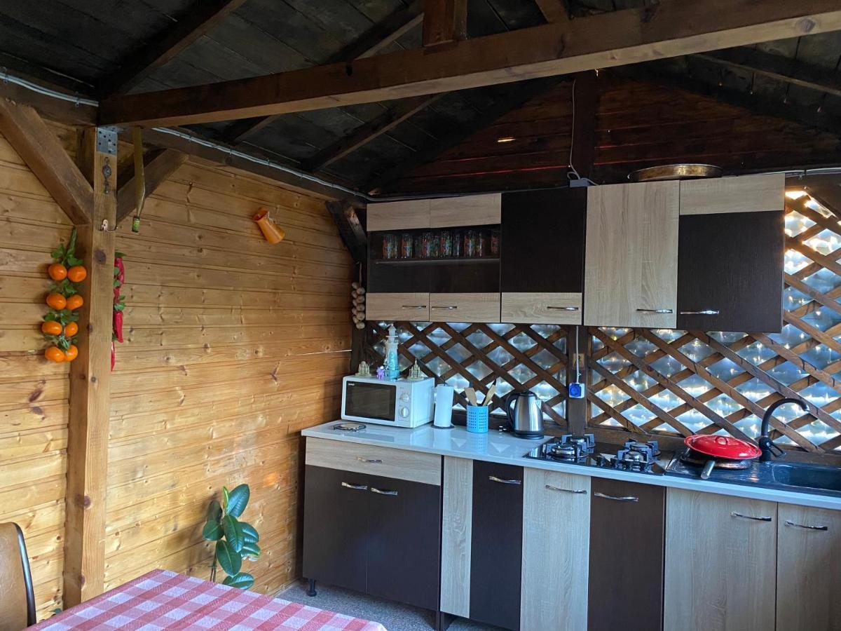 Vila Piscotel Schitu Kültér fotó