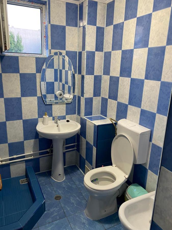 Vila Piscotel Schitu Kültér fotó