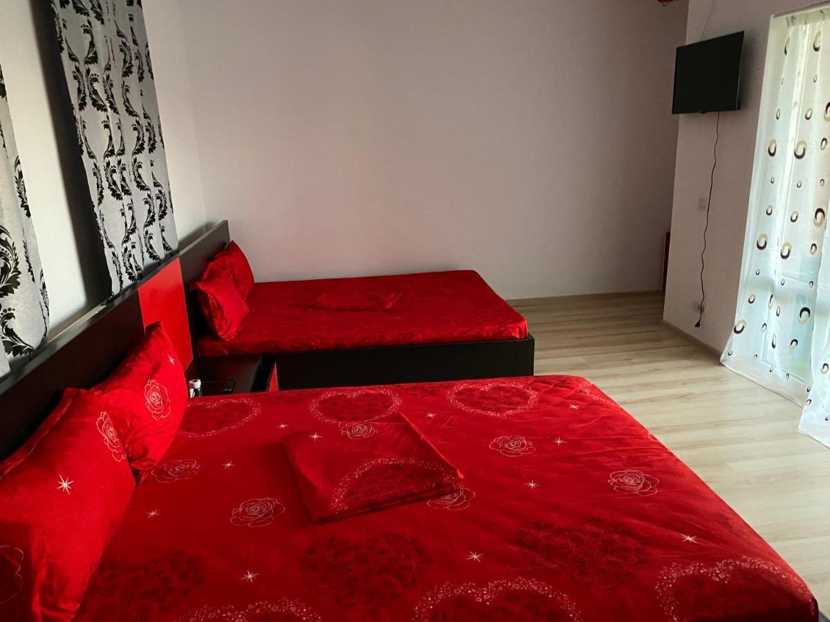 Vila Piscotel Schitu Kültér fotó